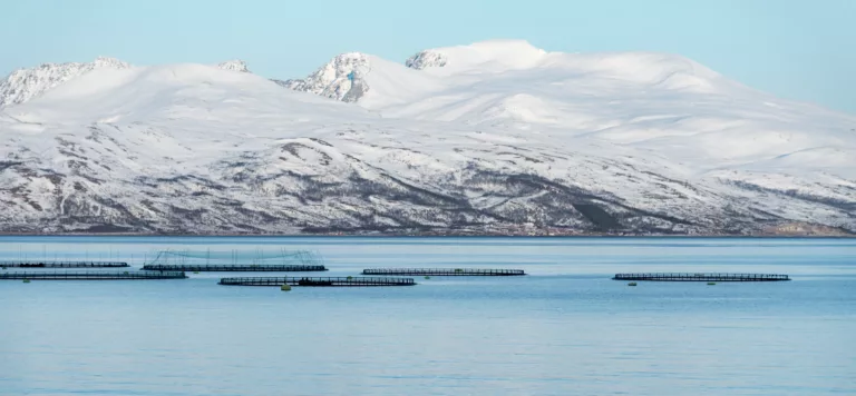 saumon en norvege - filières salmonicole